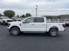 2024 Ford F-150 XLT White, Boscobel, WI