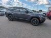 2024 Jeep Grand Cherokee L Altitude X Gray, Boscobel, WI