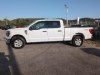 2023 Ford F-150 XLT White, Boscobel, WI